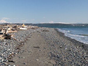 the beach of Fort Worden