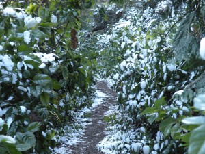 Hiking the hills in Fort Worden
