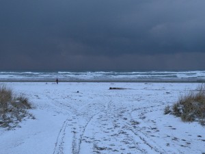 dscn5753