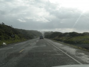 the 101 coast road south in Oregon